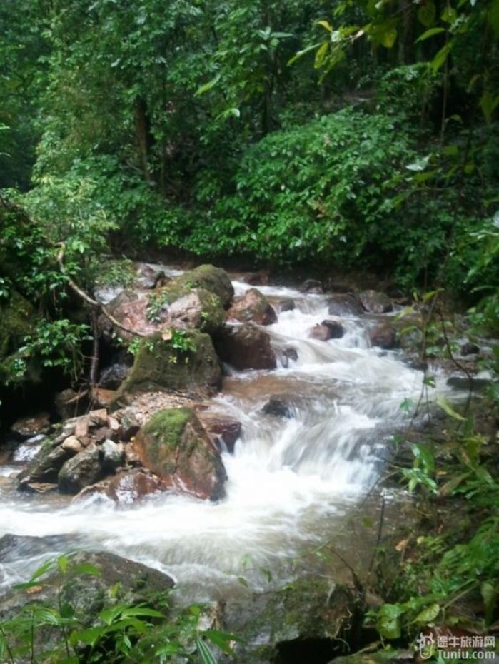 全家腾冲瑞丽之行70