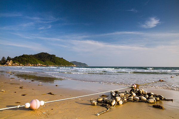 新年爱情期待 神州半岛的婚礼幻想4