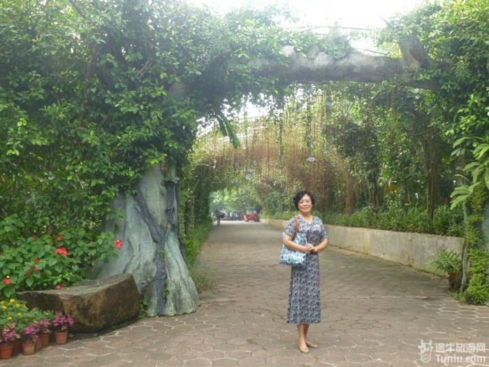游兴隆热带植物园，将心儿留下！39