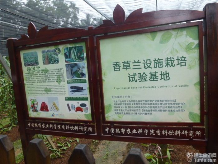 游兴隆热带植物园，将心儿留下！15