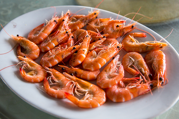 新年爱情期待 神州半岛的婚礼幻想12