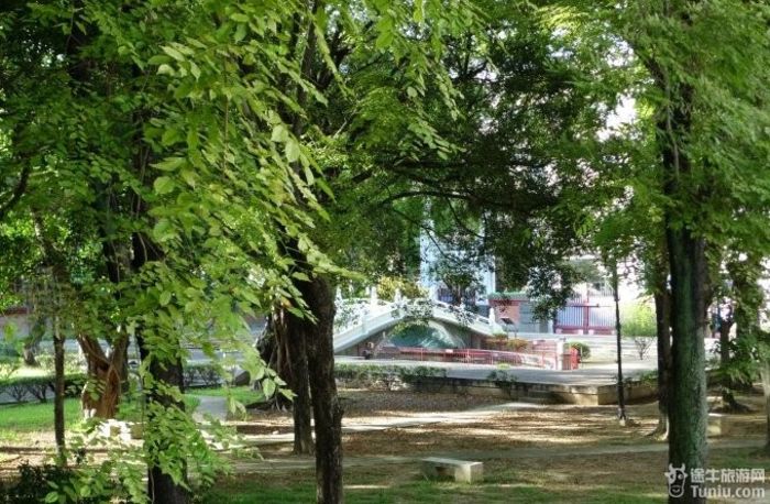 美丽台湾旅（二）31