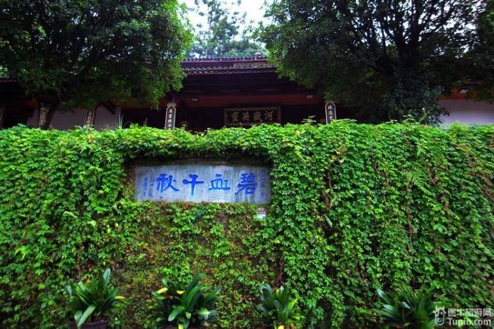 【腾冲旅游攻略】腾冲休闲之旅14