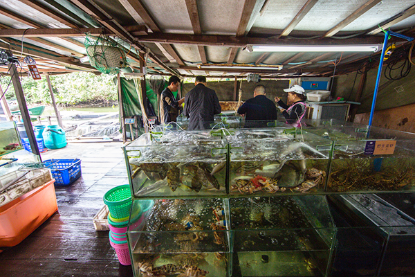 新年爱情期待 神州半岛的婚礼幻想11