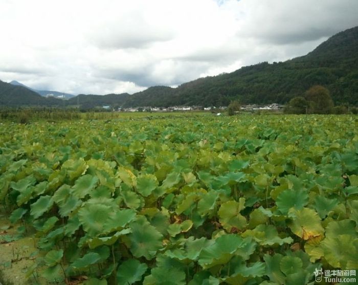 全家腾冲瑞丽之行13