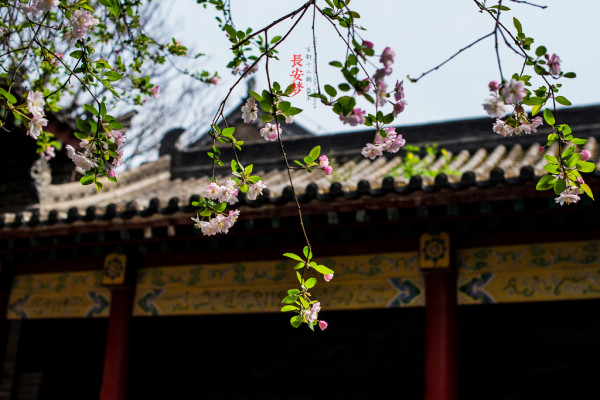 梦回长安.长安梦（5天4夜暴走西安）7