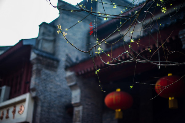 梦回长安.长安梦（5天4夜暴走西安）6