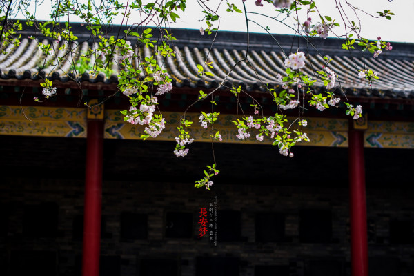 梦回长安.长安梦（5天4夜暴走西安）68