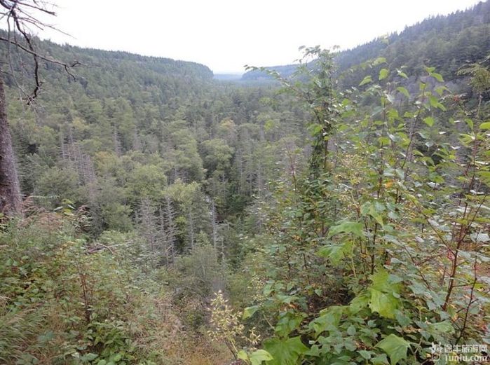 圆梦-淡忘在时间里的长白山天池38