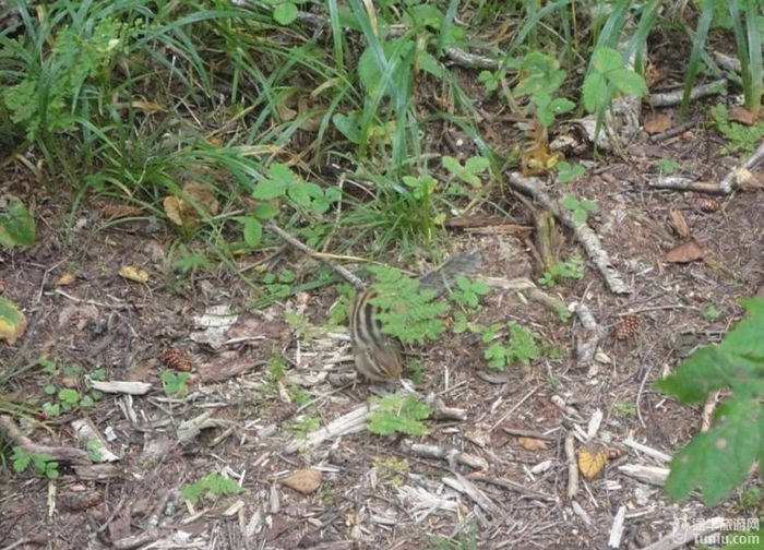 圆梦-淡忘在时间里的长白山天池36
