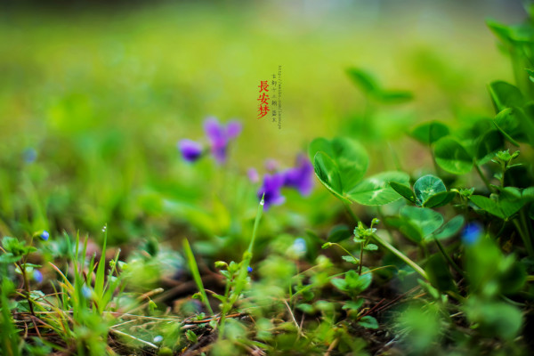 梦回长安.长安梦（5天4夜暴走西安）3