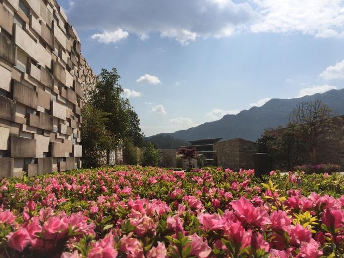 清明去哪儿——云南腾冲”石头纪“小长假之旅3