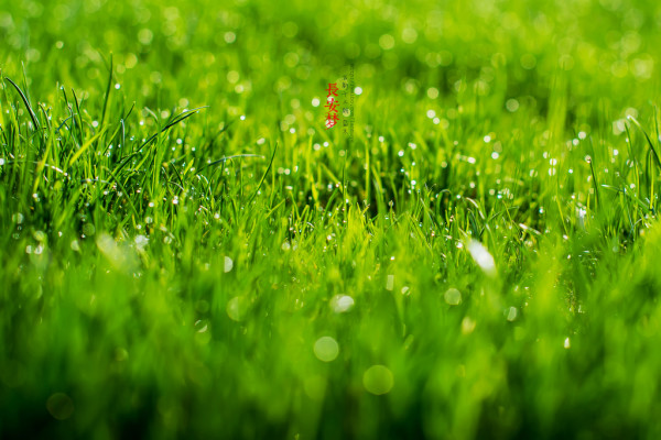 梦回长安.长安梦（5天4夜暴走西安）2