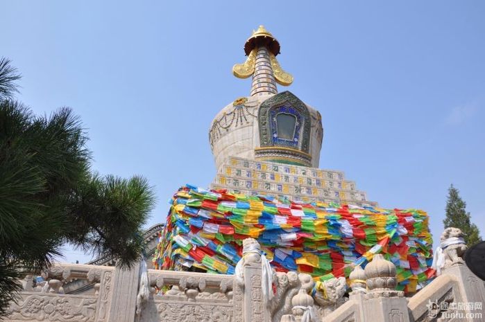 【内蒙旅游攻略】美丽四日行，内蒙古草原大漠之旅25