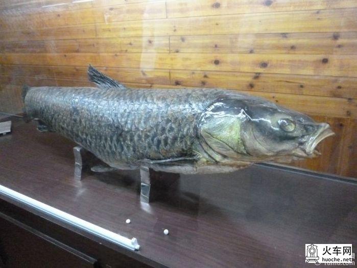 最新金牛湖游记兼攻略6