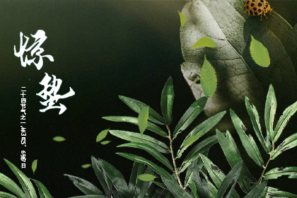 惊蛰节气的含义是什么介绍 惊蛰节气气温到多少度