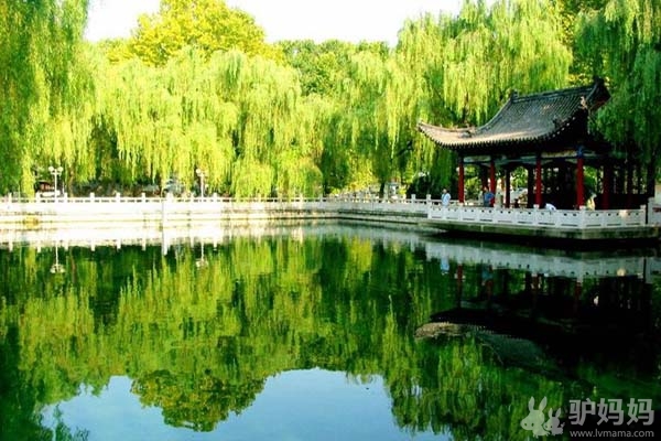 南京:珍珠泉旅游全攻略1