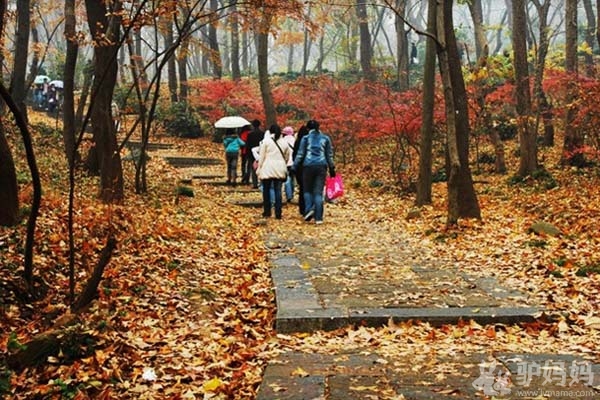 南京:栖霞风景区旅游全攻略5
