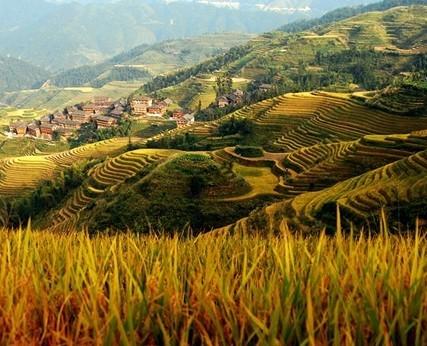 组图：桂林永不退色的山水1