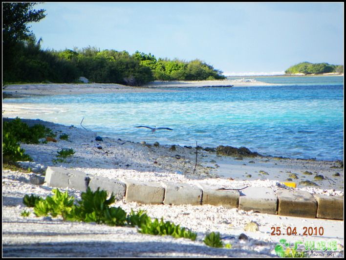 马尔代夫之幸福岛herathera Island游记36