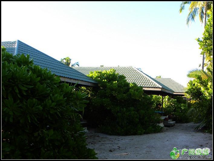 马尔代夫之幸福岛herathera Island游记19