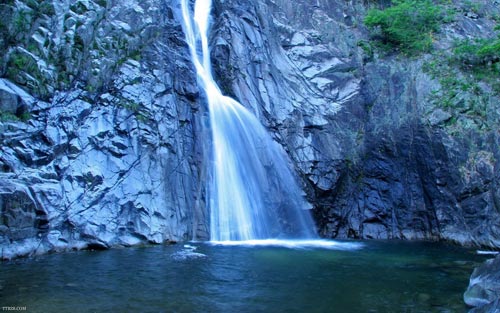 北海道 尽情绽放 色彩的海洋2