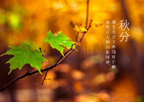 关于秋分的谚语 关于秋分的谚语