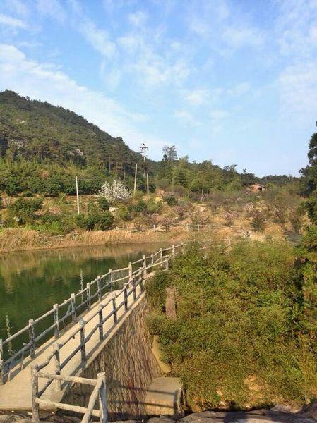 一个人旅行的味道(记苍南游)24