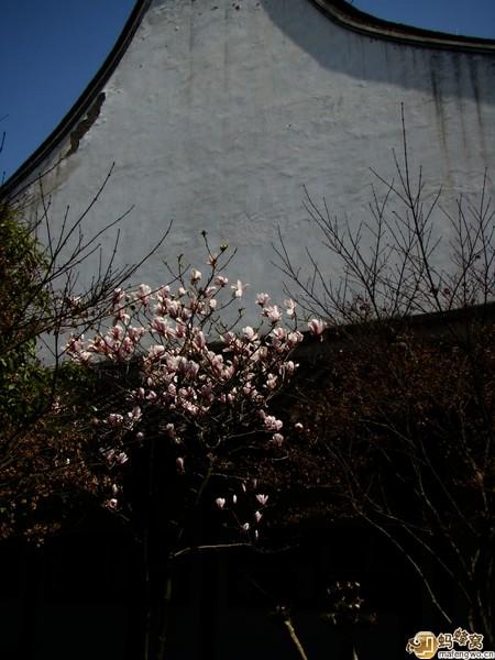 100元花费游海宁15