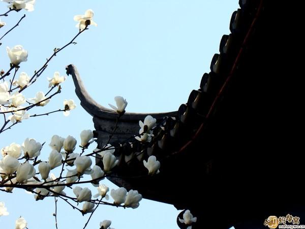 100元花费游海宁14