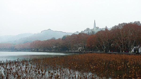 冬雨中的乌镇3
