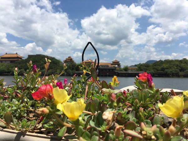 （懒癌的初游记崛起）横店——杭州夏日独游17