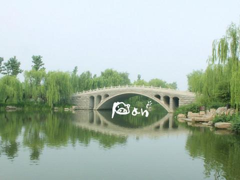 闲逛。济南5