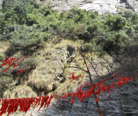 踏青——庐山石门涧8