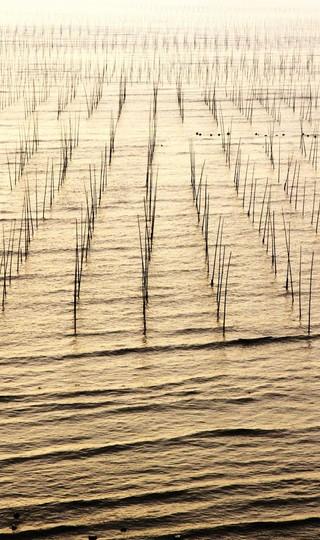 2011年4月2日——2011年4月5日福建霞浦41