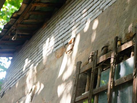 虎纠美景之“探寻老洋房，寻找小清新”36