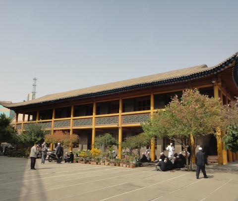 西宁东关清真大寺、塔尔寺、省博物馆、植物园、水井巷、莫家街。。。12
