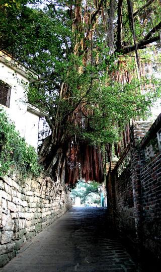 福建厦门、永定6