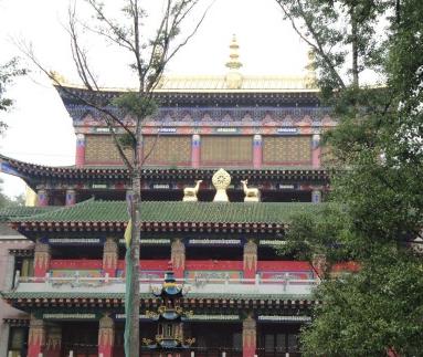 青海之旅27