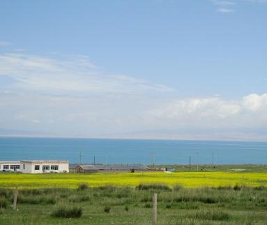 青海之旅218