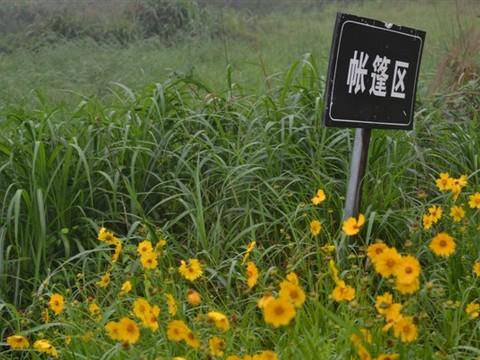 俞山岛游记&攻略4