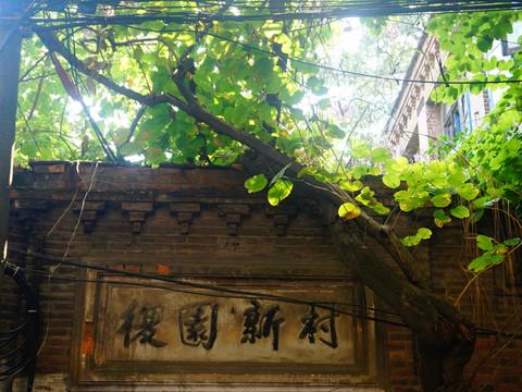 虎纠美景之“探寻老洋房，寻找小清新”28