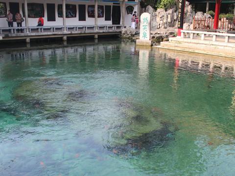 闲逛。济南14