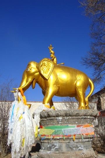 09年---冬日之旅---西宁---塔尔寺、青海湖11