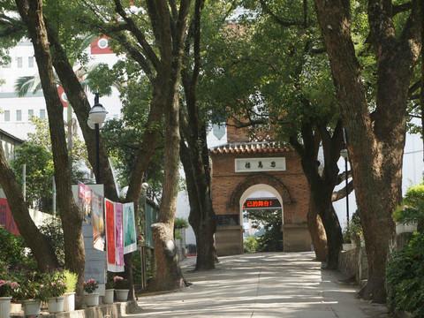 虎纠美景之“探寻老洋房，寻找小清新”15