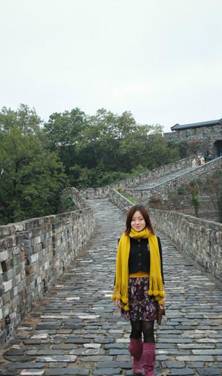 红橙黄绿-2012南京秋天的颜色32