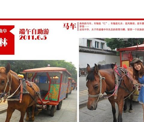 就想飞出北京，山东的热情游记之文化胜地曲阜1