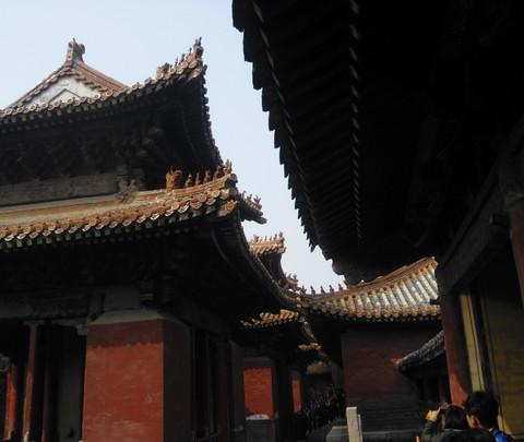 2011-10 曲阜6