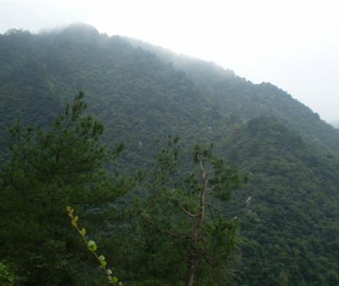 庐山游24