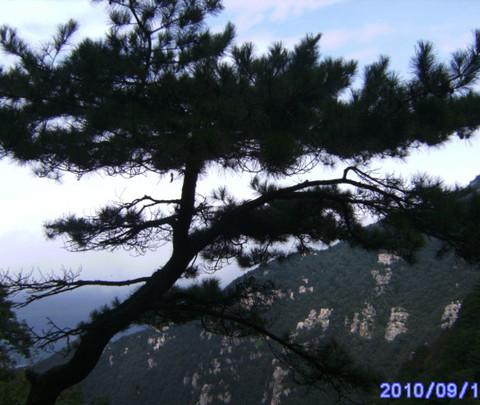 庐山游10